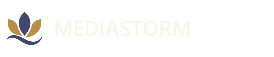 MEDIASTORM